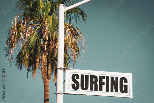 Aged vintage surfing sign and palm tree
