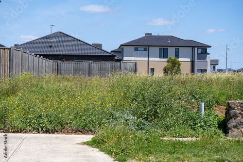 Εκτύπωση καμβά An overgrown vacant residential lot filled with tall grass and wild weeds in a newly developed suburban neighborhood in Point Cook, Melbourne, Australia, with modern houses in the background