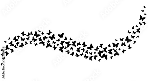 A flowing wave of numerous small black butterfly silhouettes against a white background.