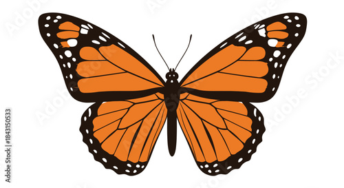 An elegant monarch butterfly in striking orange and black, depicted as a high-quality vector graphic, suitable for a wide range of digital and print media.