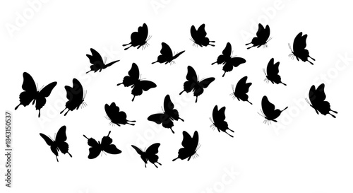 A collection of black butterfly silhouettes flying and scattered across a white background, creating a decorative pattern.