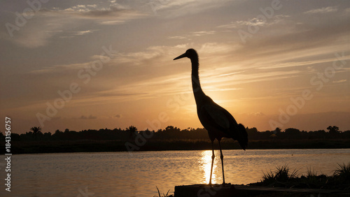 Elegant heron silhouette at sunset by tranquil river nature photography serene landscape