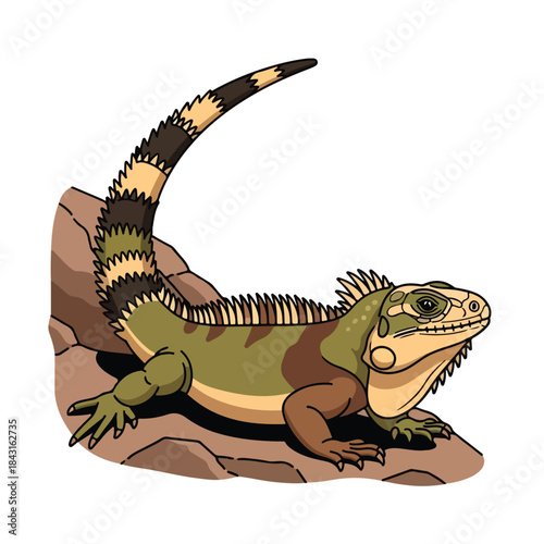 Cartoon Iguana Illustration Detailed Depiction of a Reptile on a Rock.