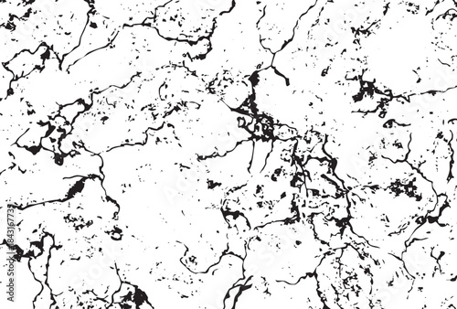 Abstract black and white crackle texture background pattern