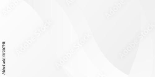 abstract white background with smooth decorative swirl lines flowing art concept