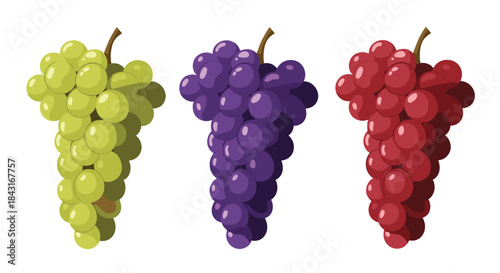 Collection of three vibrant bunches of grapes in different colors: fresh green, deep purple, and rich red, isolated on white.
