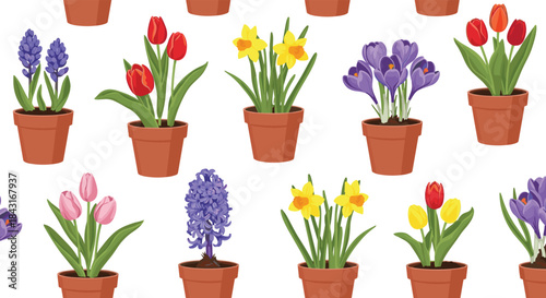 Seamless pattern of various colorful spring bulb flowers like tulips, daffodils, crocuses, and hyacinths planted in terracotta pots.