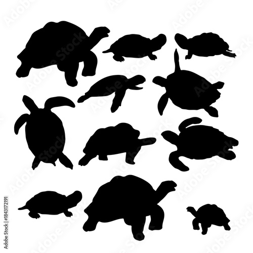 turtle silhouette pack