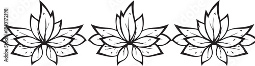 Three Lotus Flowers Line Art Design on Transparent Background