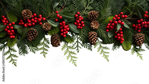 christmas tree branch