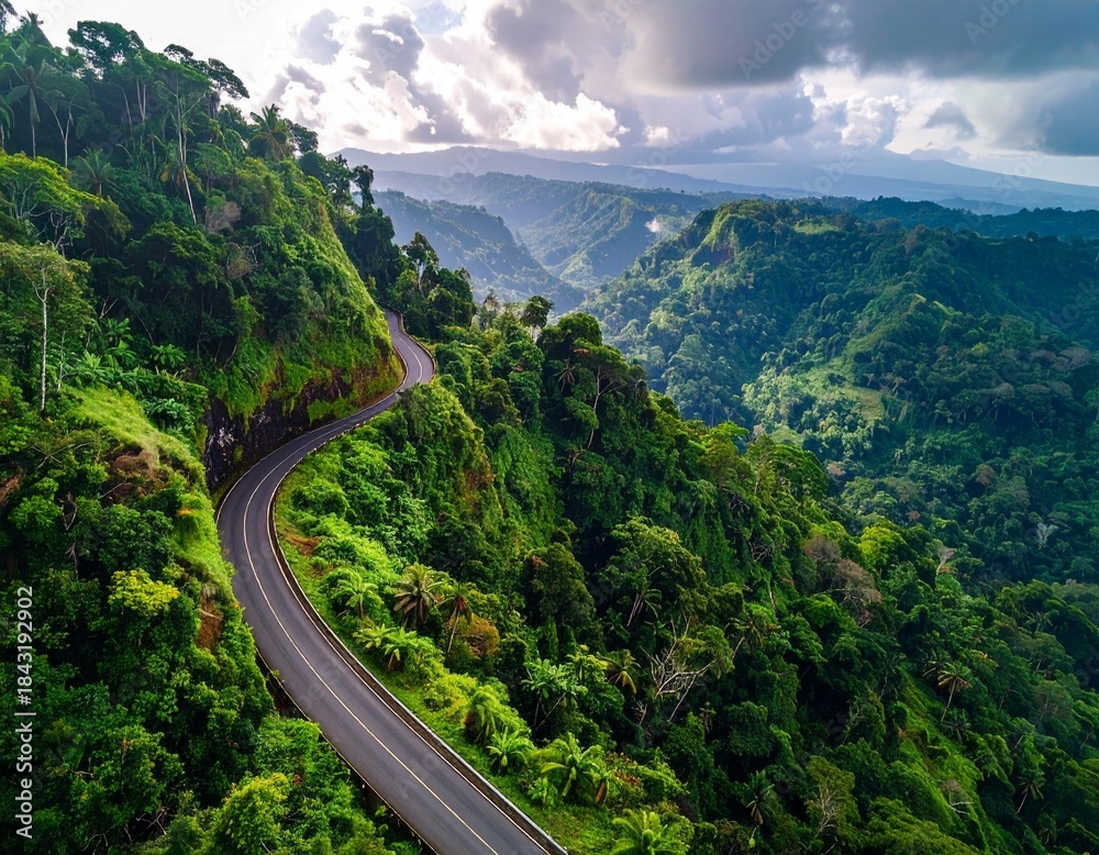Fototapeta premium Winding Road through Lush Green Mountain: A scenic asphalt road gracefully weaves through the heart of verdant mountains, under a dramatic sky.
