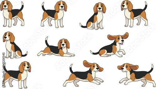 Set of cute cartoon Beagle dogs in various poses, funny puppy characters standing, sitting, running, and lying down, cartoon flat vector illustration