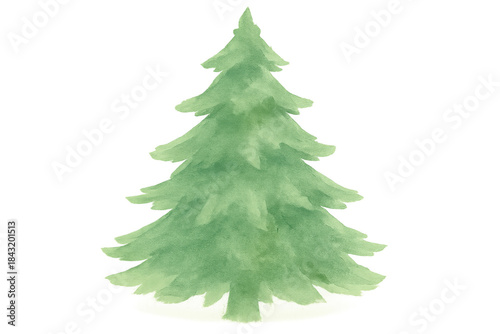 Christmas pine tree watercolor drawing, evergreen holiday spruce illustration for winter celebration and seasonal greeting design