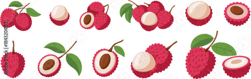 Assortment of Fresh Lychee Fruits and Slices on White Background Keywords: lychee, litchi, fruit