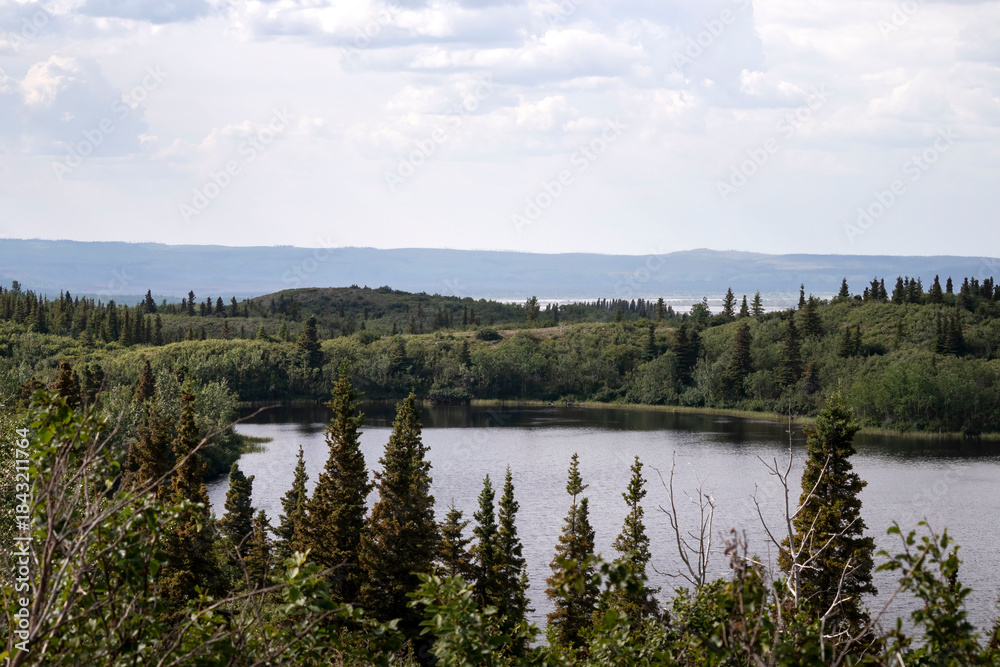 Obraz premium Lake surrounded by green trees