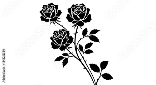 Black silhouette of three elegant roses with stems, leaves, and thorns, creating a beautiful floral design.