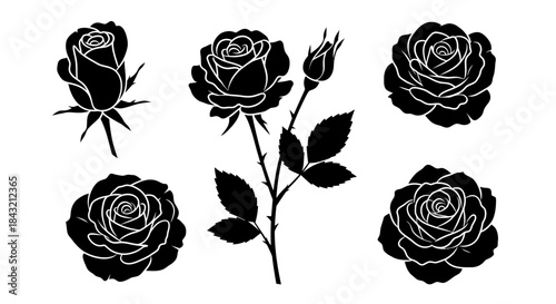 Black silhouettes of roses in various stages, including buds, open flowers, and a stem with leaves and thorns, isolated on a white background.