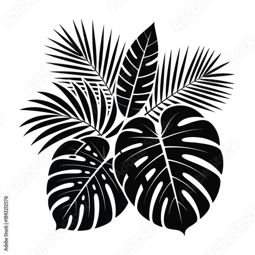 Tropical leaves silhouette isolated illustration summer jungle foliage decoration hawaiian botany exotic plants graphic design