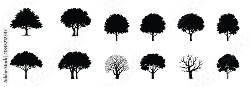 Collection of twelve different tree silhouettes representing various species and stages of foliage growth perfect for architectural plans and landscapes