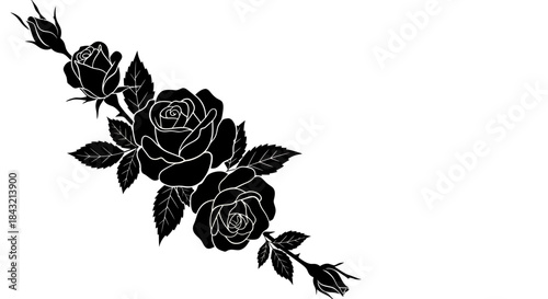 Black silhouette of a rose branch with multiple blooming roses, buds, and leaves, forming an elegant floral design element.