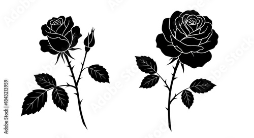Two black silhouettes of rose flowers with buds, leaves, and thorny stems on a white background, illustrating botanical elements.