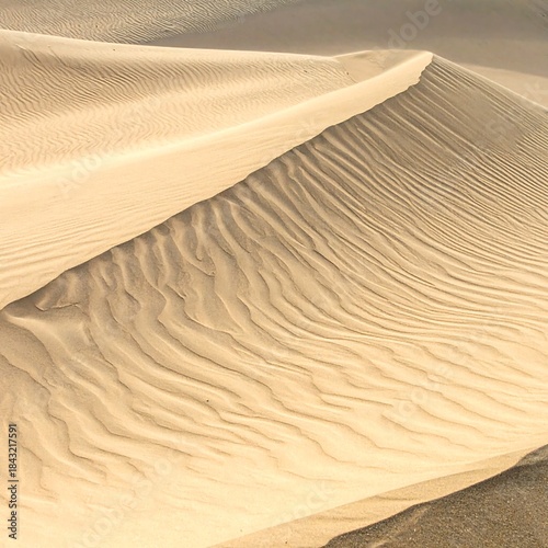Close-up of undulating sand dunes textured by wind in warm sunlight
