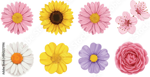 Decorative flower vector collection featuring colorful blossoms, detailed petals, botanical variety, and elegant floral illustrations perfect for nature designs, invitations, and decorative artwork