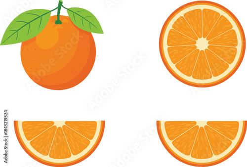 Fresh orange fruit vector set featuring whole orange, sliced pieces, citrus segments, juicy textures, and vibrant illustrations perfect for food, health, and packaging designs