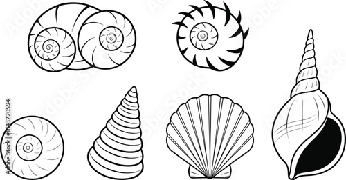 Seashell vector collection featuring various marine shell shapes, spiral designs, ocean elements, coastal outlines, and decorative nautical illustrations for beach and summer themes