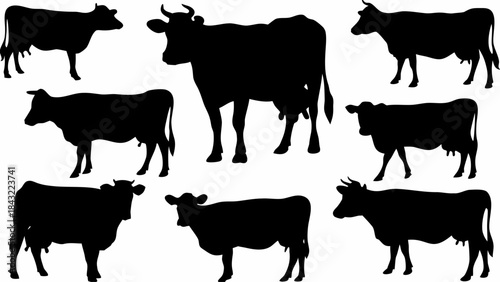 Collection of diverse black cow silhouettes showcasing various farm animal poses and dairy cattle profiles