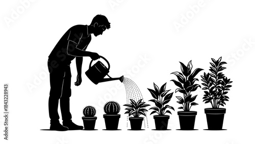 A person watering various potted plants in a serene indoor environment