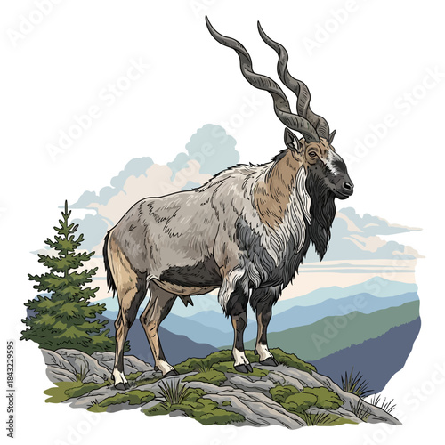Wild Markhor goat standing majestically on a rocky mountain ledge with long spiraling horns.