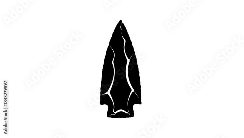 woman legs in black shoes