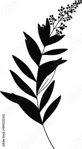 Elegant Black Floral Silhouette for Modern Decor