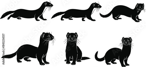 Set of six black weasel silhouettes showing running and standing poses, isolated on white background for nature, wildlife, mammal, vector, and animal design illustration