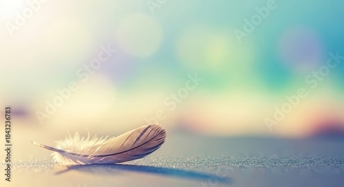 A single feather on a textured surface with a blurred background.