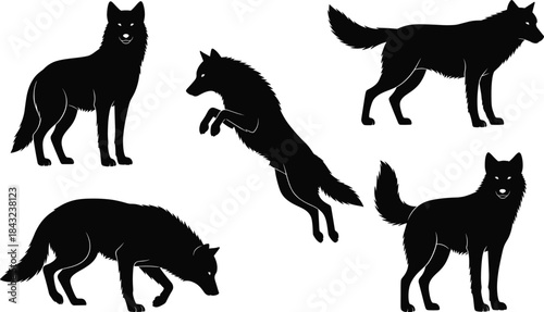 Silhouette illustration of wild wolves in various poses including standing, jumping, crouching for wildlife, nature, animal, and predator design