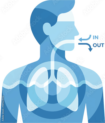 Conceptual human respiratory system illustration detailing the process of breathing.