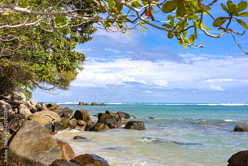Tropical rocky shoreline along turquoise sea framed by overhanging branches and lush green foliage. Clear blue sky, gentle waves. Nature, travel, vacation, tropical island