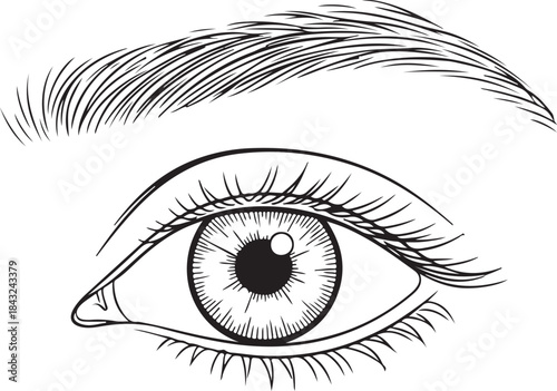 Human Internal Organ Line Icon