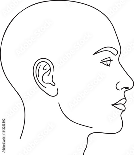 Human Internal Organ Line Icon