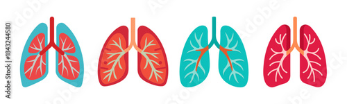 Human lung anatomy vector illustration set for medical health education