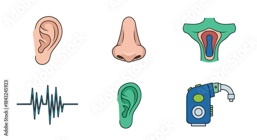 Collection of Human Sensory Organs and Medical Devices.