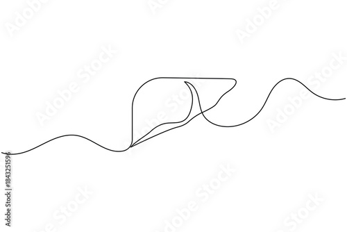 Continuous line drawing of a human liver organ with minimalist and artistic style