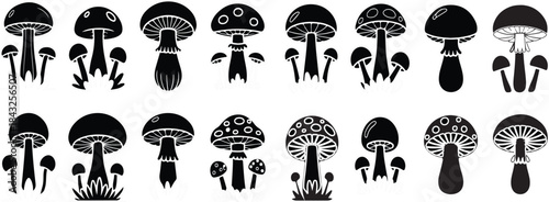 mushroom icon set nature vector schampignon; fungi; magic; cartoon; toadstool; stipe; vignetting; fungal