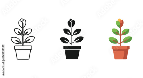 Three potted plants with different styles