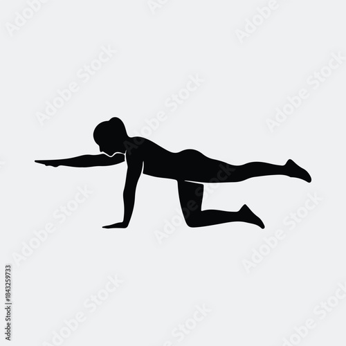 Silhouette woman performing bird dog exercise for core strength vector illustration
