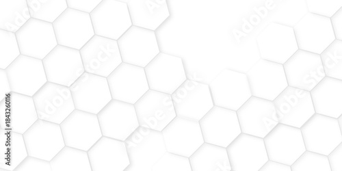 Abstract hexagon polygonal pattern background vector, Modern simple style hexagonal graphic concept. beautiful geometric pattern white gray hexagonal,