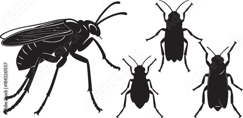 Silhouettes of various insects and arthropods organized in a systematic arrangement on a white background