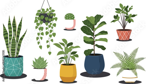 Variety of potted indoor plants illustration including hanging plants on transparent background